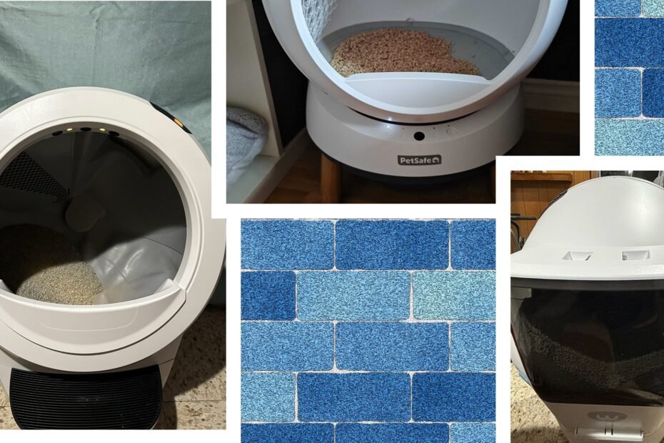 The 5 Automatic Litter Boxes We've Tested and Recommend (2024)