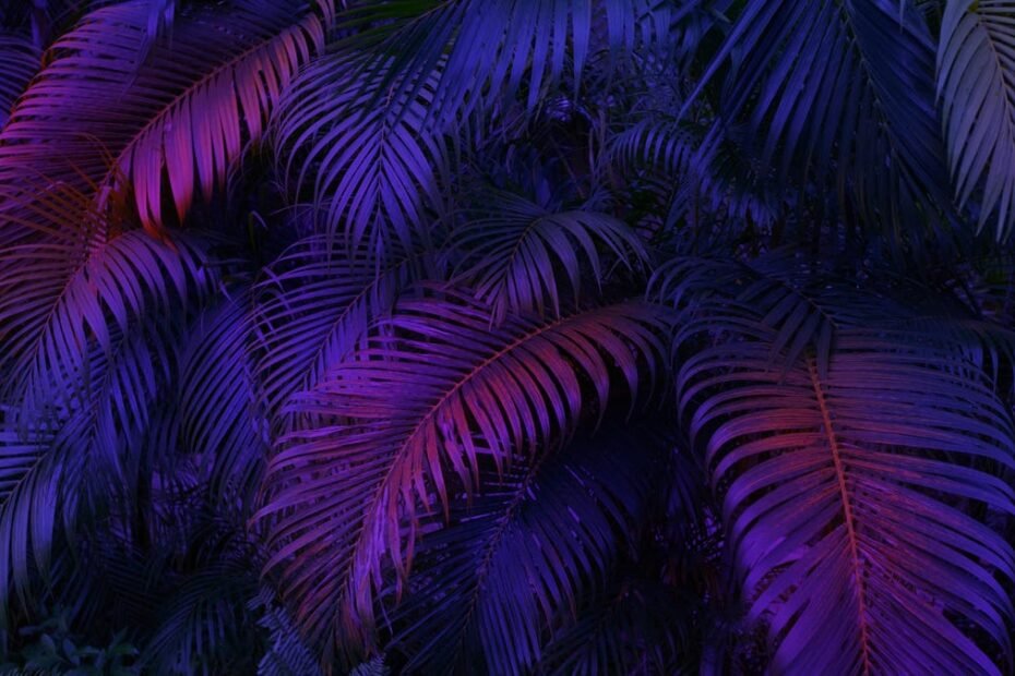 A photo of tropical leaves in purple neon lighting gettyimages-1398856736